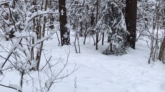 УХОДИЛА К ПОДРУГАМ НА ВСЮ НОЧЬ. Жизненные истории. Поучительные любовные аудио рассказы и истории. смотреть онлайн