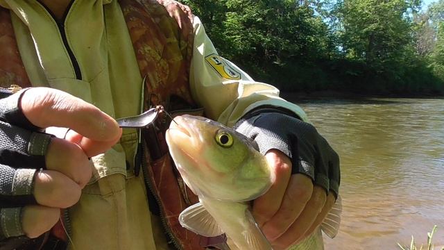 Блесна ассиметрик на перекате. смотреть онлайн