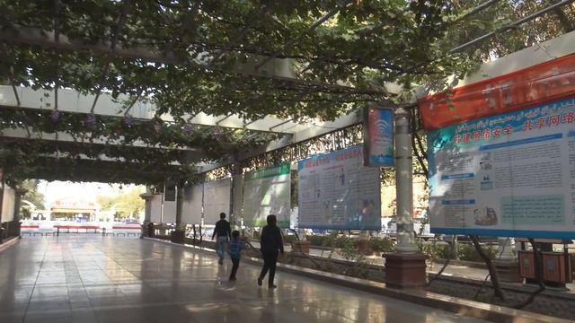 ዦ 40 ዣ Турфан. Жизнь в пустыне. Синьцзянские страсти смотреть онлайн