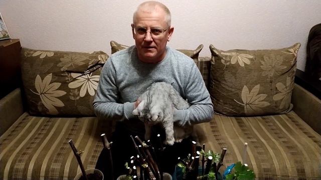 Важная информация!!!Ждем Вас на Яндекс Дзен!!! смотреть онлайн
