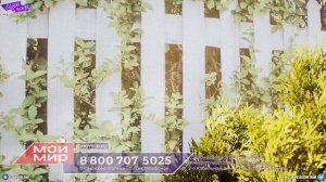 Позорный ФОТОФАСАД новая ЖИЗНЬ от МОЙ МИР и Atlas FOR men от ЛЕОМАКС - треш ОБЗОР телемагазинов