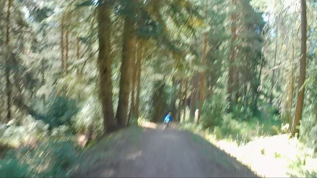 Старый романтик ++