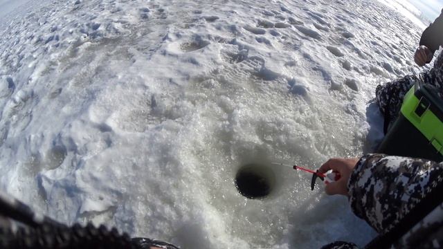 Река Днепр Смоленская область. смотреть онлайн