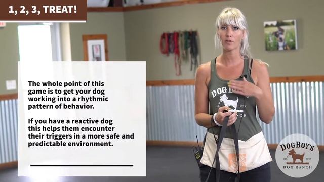 Dog Training Tips: Pattern Games - 1 2 3 TREAT! смотреть онлайн