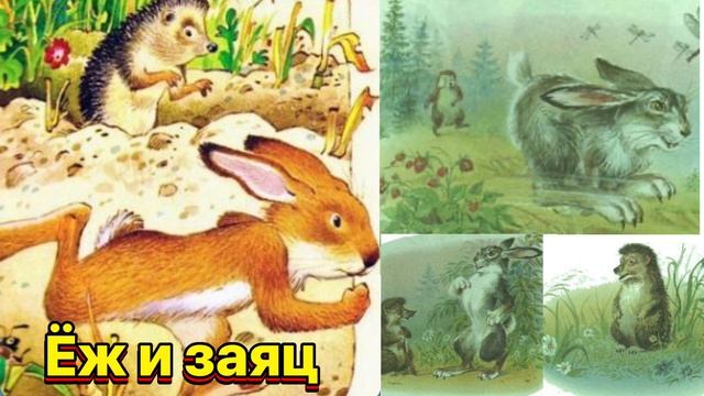 Ёж и заяц #сказки #сказка #сказкинаночь #аудиосказки