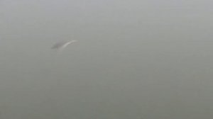 Воблер Strike Pro Inquisitor 80 SP (EG-193A-SP)