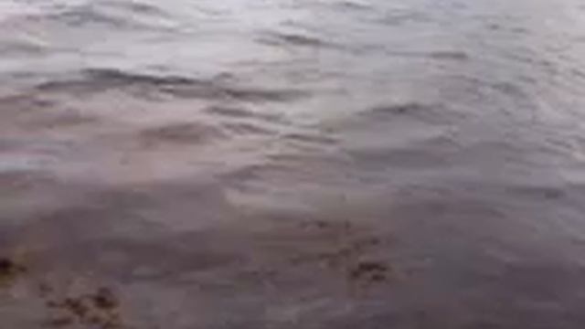 Спасатели малибу) смотреть онлайн