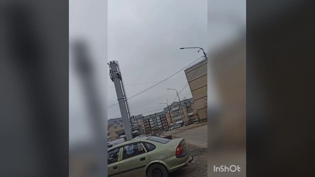 Дорога, коты, цветы и грачи. смотреть онлайн