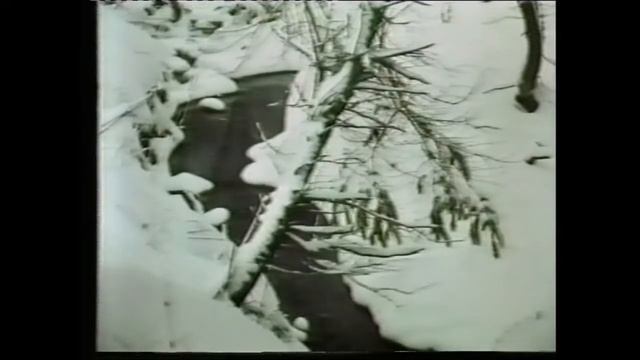 Rudolf Schock "Leise rieselt der Schnee" für Aetion смотреть онлайн