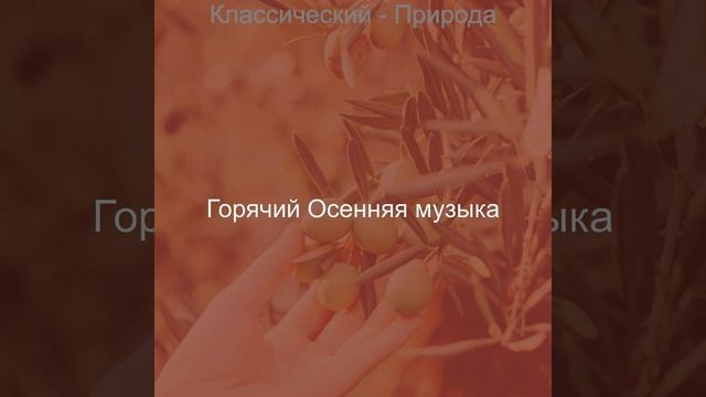 Созерцая (Смена времен года) смотреть онлайн