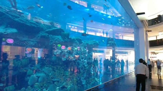Самый большой в мире аквариум в Dubai Mall ОАЭ Дубай смотреть онлайн