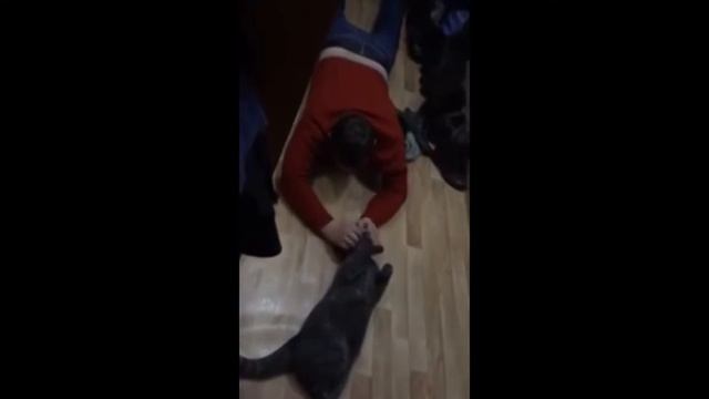 Муж пришел домой пьяный Реакция жены смотреть онлайн