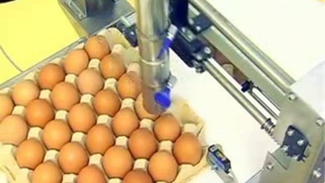 Маркировка яиц с помощью челночного механизма смотреть онлайн