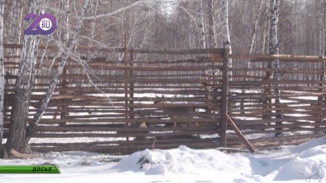 В Белозерском районе Курганской области разводят редких оленей смотреть онлайн