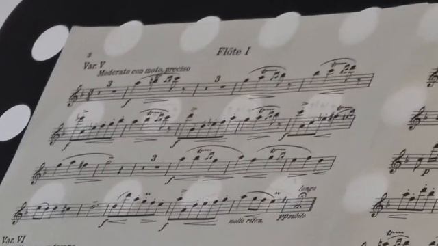 Рабочий процесс. Квартет флейт: Владислав Федоренко, Вячеслав Воронин, Нина Николаева, Айта Сивцева смотреть онлайн