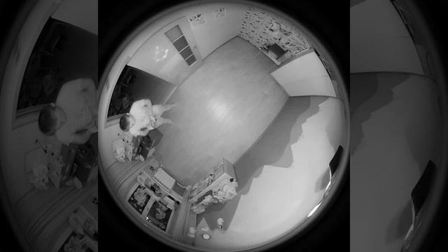 Демонстрация работы IP Камеры Vstarcam C8861WIP Ночь смотреть онлайн