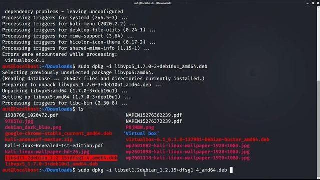 How to install Virtual Box on Kali Linux 2020 смотреть онлайн