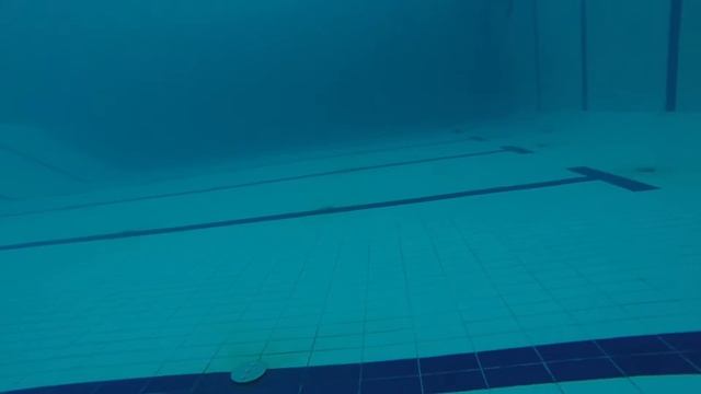 Тренировка подводных охотников смотреть онлайн