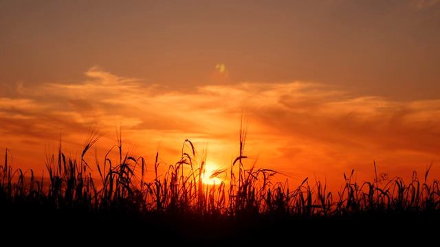 Sunset Footage