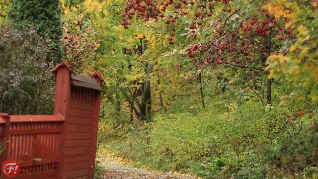 Обзор Canon EF 50mm F1.2L USM смотреть онлайн