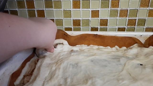 Пирог с курицей, грибами и луком. И наш вариант хот догов. Очень вкусно. смотреть онлайн