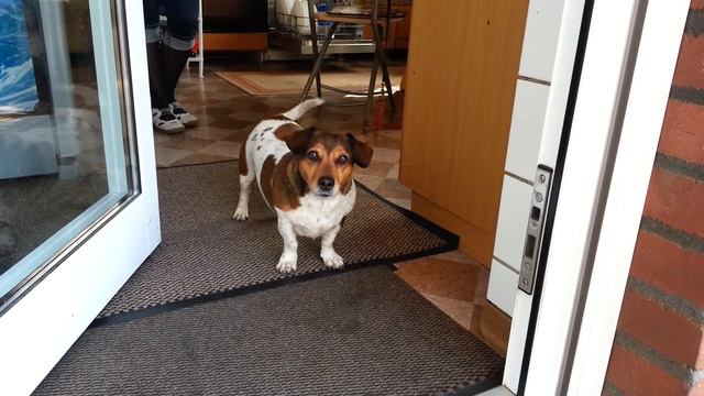 На старт внимание - марш / on start attention march смотреть онлайн