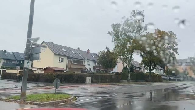 Папа бастует и отказался от еды. смотреть онлайн