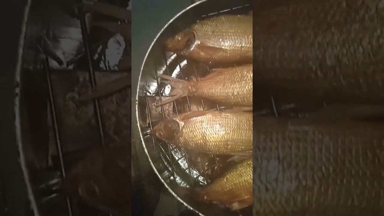 12 ноября 2023 г.