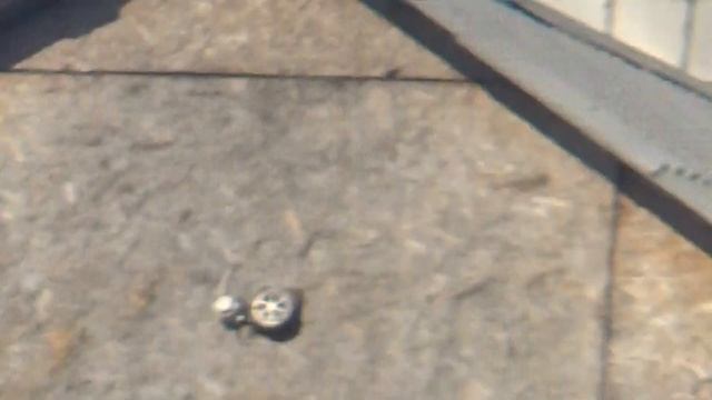 24.03.2020 г. гуси улетели , прилетел ЛЕБЕДЬ.