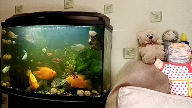 Русские былины. Садко в подводном царстве