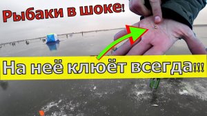 НА НЕЁ КЛЮЁТ ВСЕГДА! Золотая мормышка для рыбалки. Мормышка на окуня