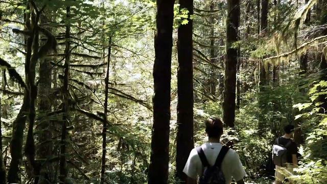 ПРИРОДА В США | ШТАТ ВАШИНГТОН | ВОДОПАД Wallace Falls смотреть онлайн