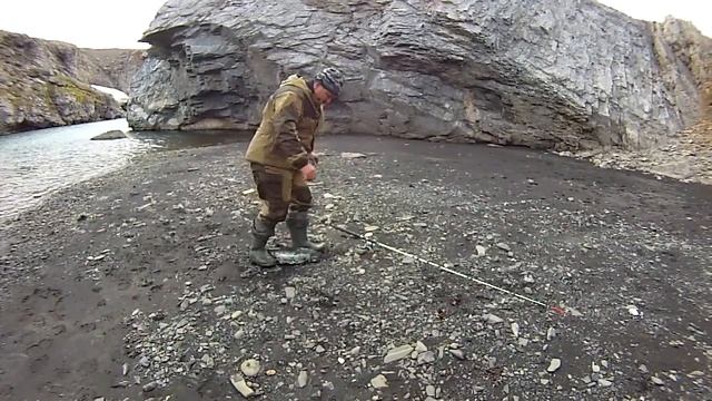 Голец арктический смотреть онлайн