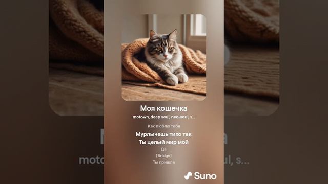Моя кошечка 2024-08-14_08-06-54