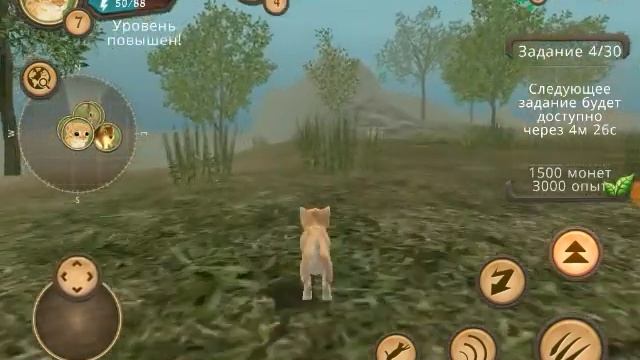 "Привет, я Лайка!: Я и мой парень!" 3 серия. смотреть онлайн