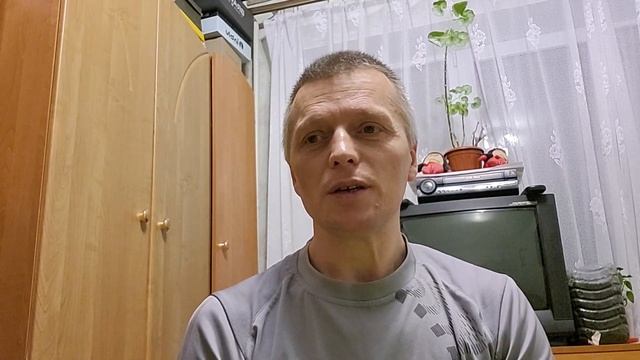 Как сокол охотится за голубями. Будут ли результаты полётов? смотреть онлайн