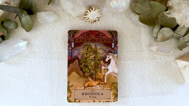 Herbal Astrology Oracle by Adriana Ayales Walkthrough смотреть онлайн