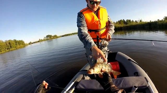 Судак и берш на джиг смотреть онлайн