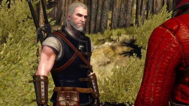Клад и смертельный заговор ? The Witcher 3 (Ведьмак 3) #38 смотреть онлайн