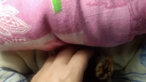 ПОЧЕМУ ИНДЮШОНОК ЛЕЖИТ НА СПИНЕ//ПЕРЕВЕРТЫШ//ИСПРАВЛЯЕМ ЛЕГКО