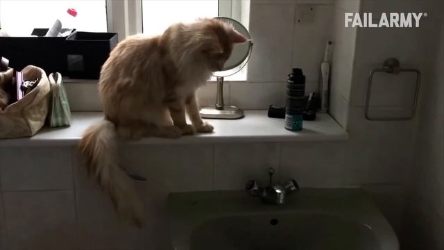 Funny Cat Fails | Funny Cat Compilation - FailArmy смотреть онлайн