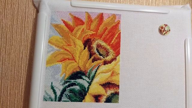 "Цветы Солнца 1" от "Золотое Руно". Отчет #1. смотреть онлайн