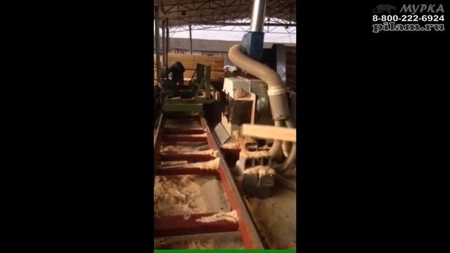 Китайская дисковая вертикальная пилорама современная замена ленточного пиления pilam.ru смотреть онлайн