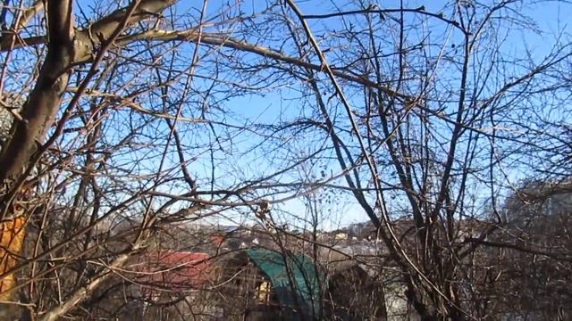 Философия нынешнего сада