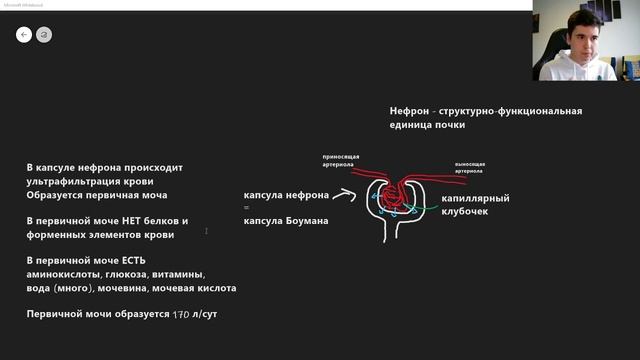 BioFamily | ВЫДЕЛИТЕЛЬНАЯ СИСТЕМА  | ЕГЭ 2020