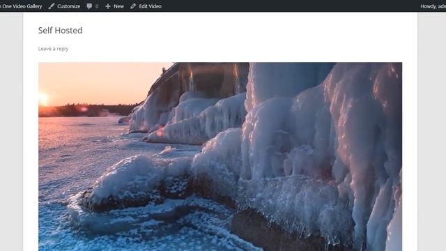 Best Free Video Gallery Plugin for WordPress 2019 смотреть онлайн