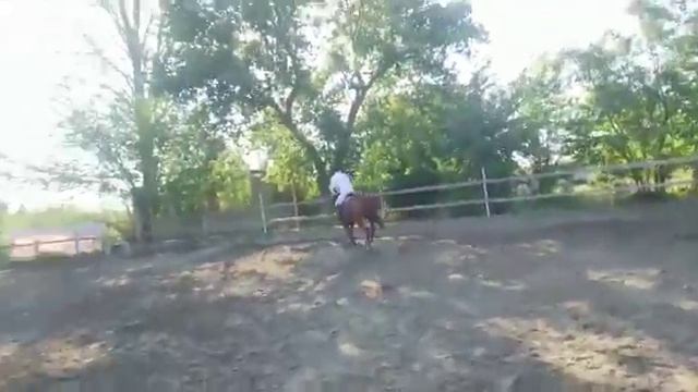 Форз маршрут до 100 см 2 августа 2021 года смотреть онлайн