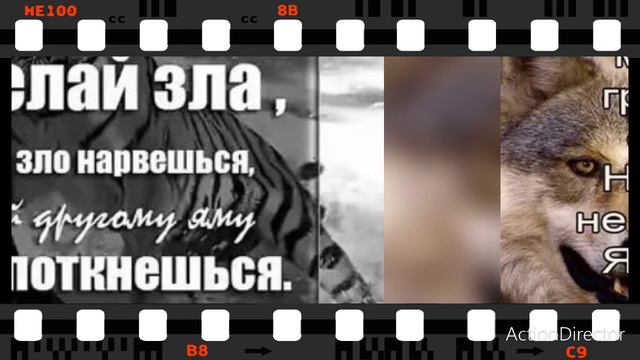 МОЙ МИР_live И дай вам Бог того вдвойне,Чего желаете вы мне!