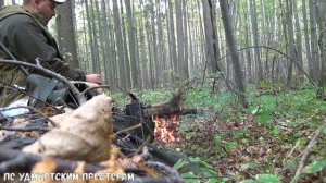 Охота с мелкашкой на боровую дичь