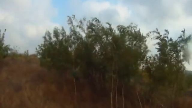 Охота на фазана смотреть онлайн